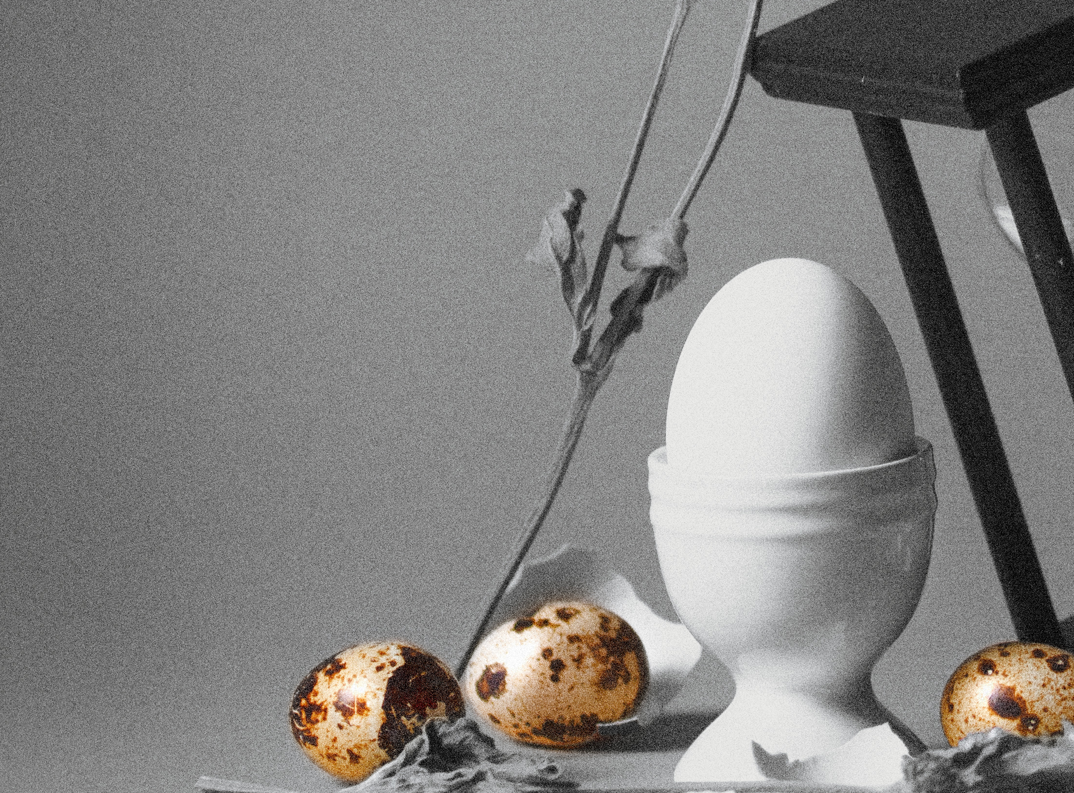 Wild birds eggs and an egg in an egg cup