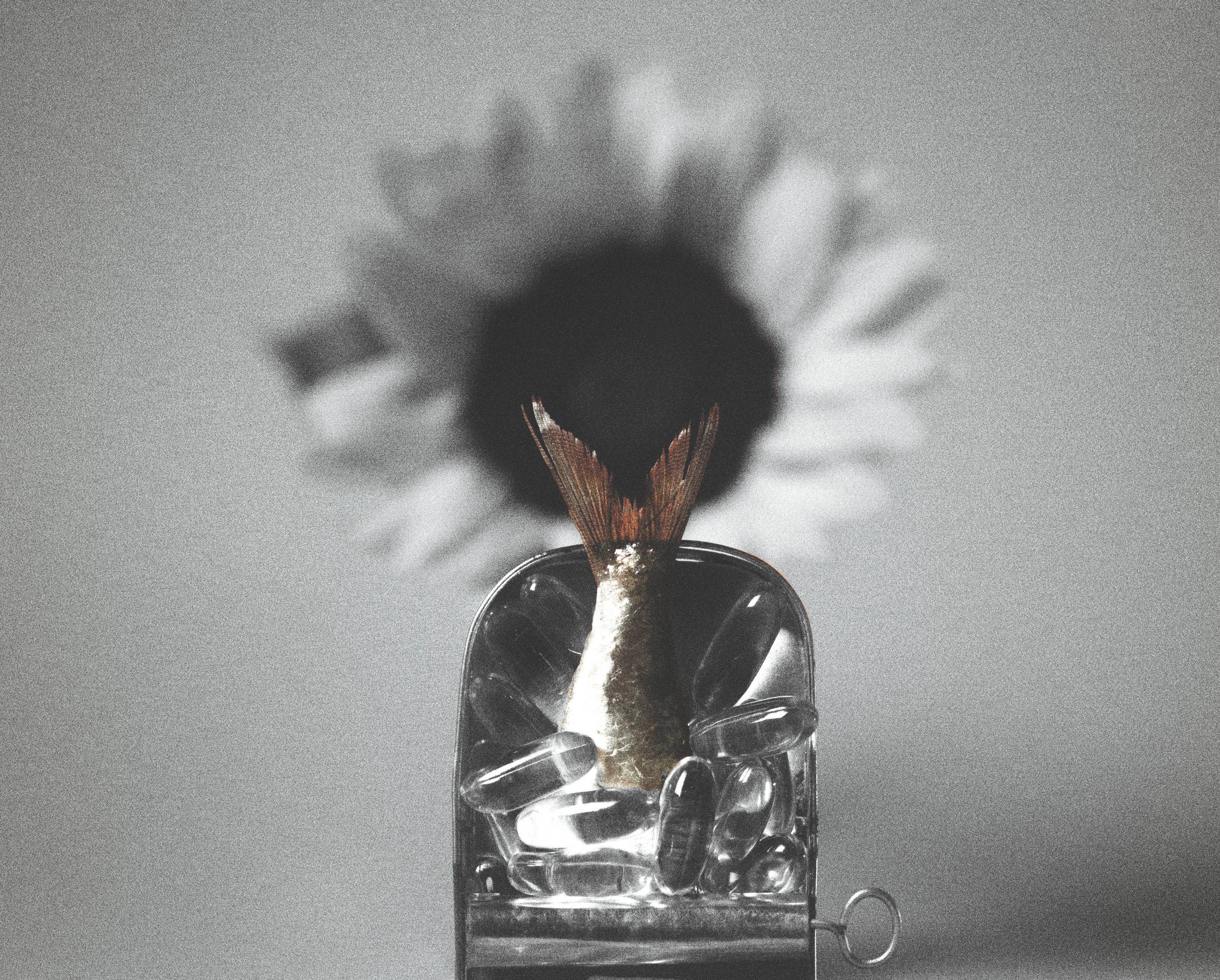 Fish oil capsules in a sardine can with a sunflower in the background