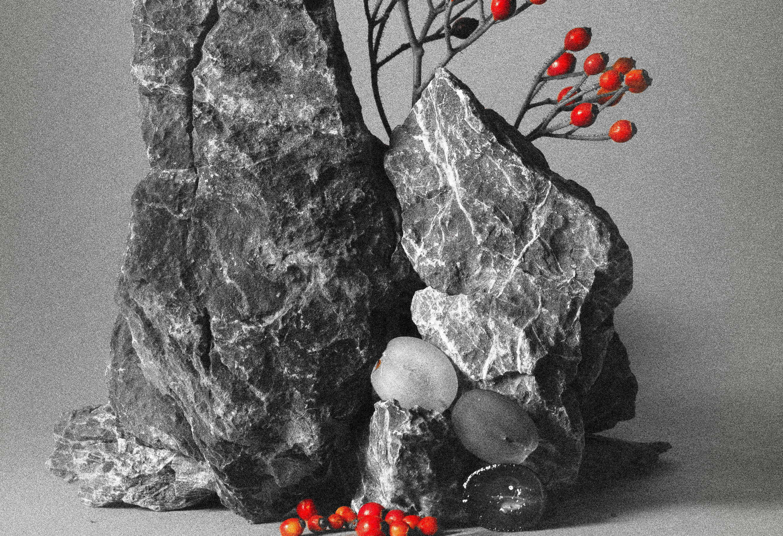 Arrange of rocks and rosehips