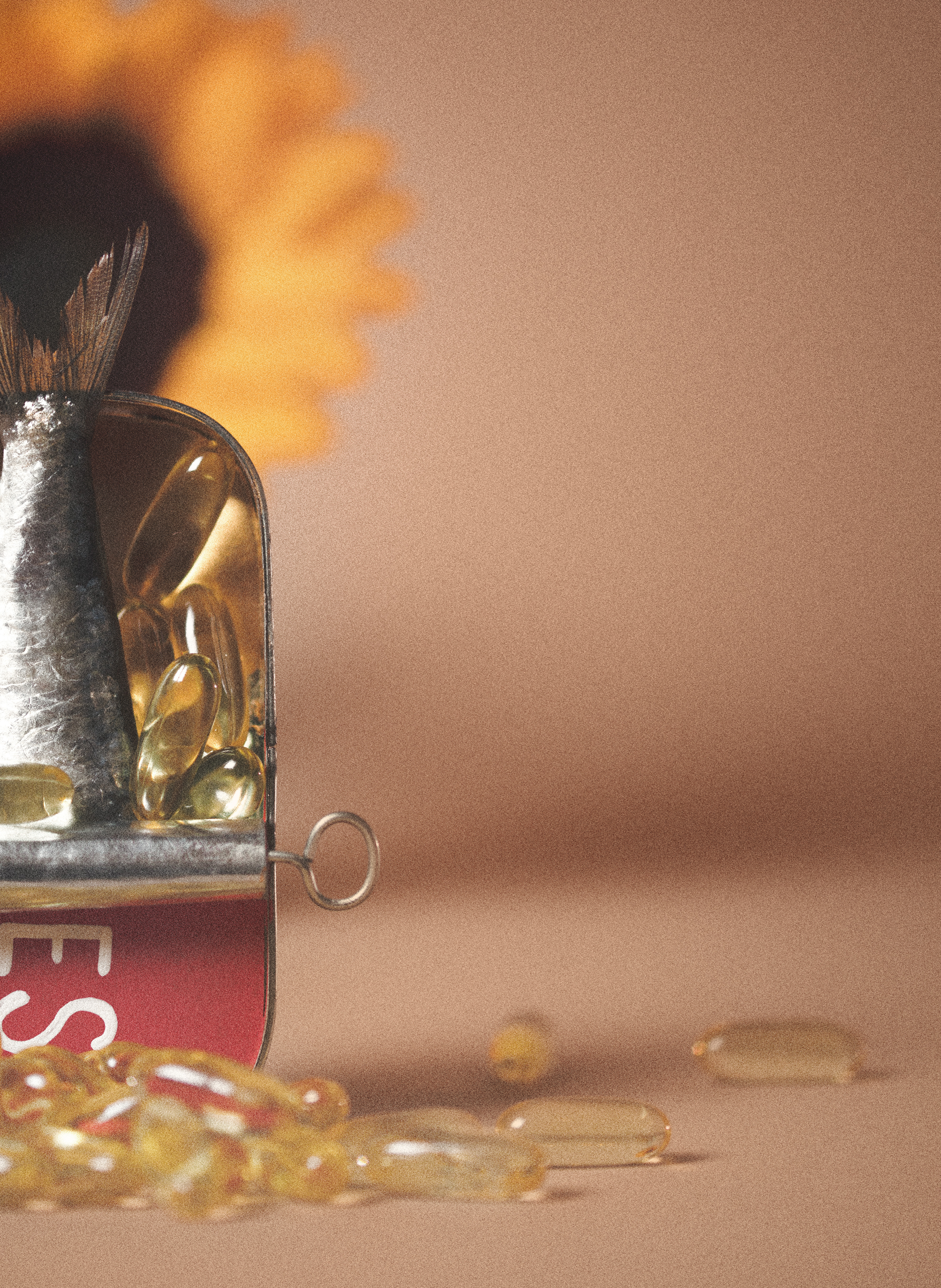 Fish oil capsules in a sardine tin