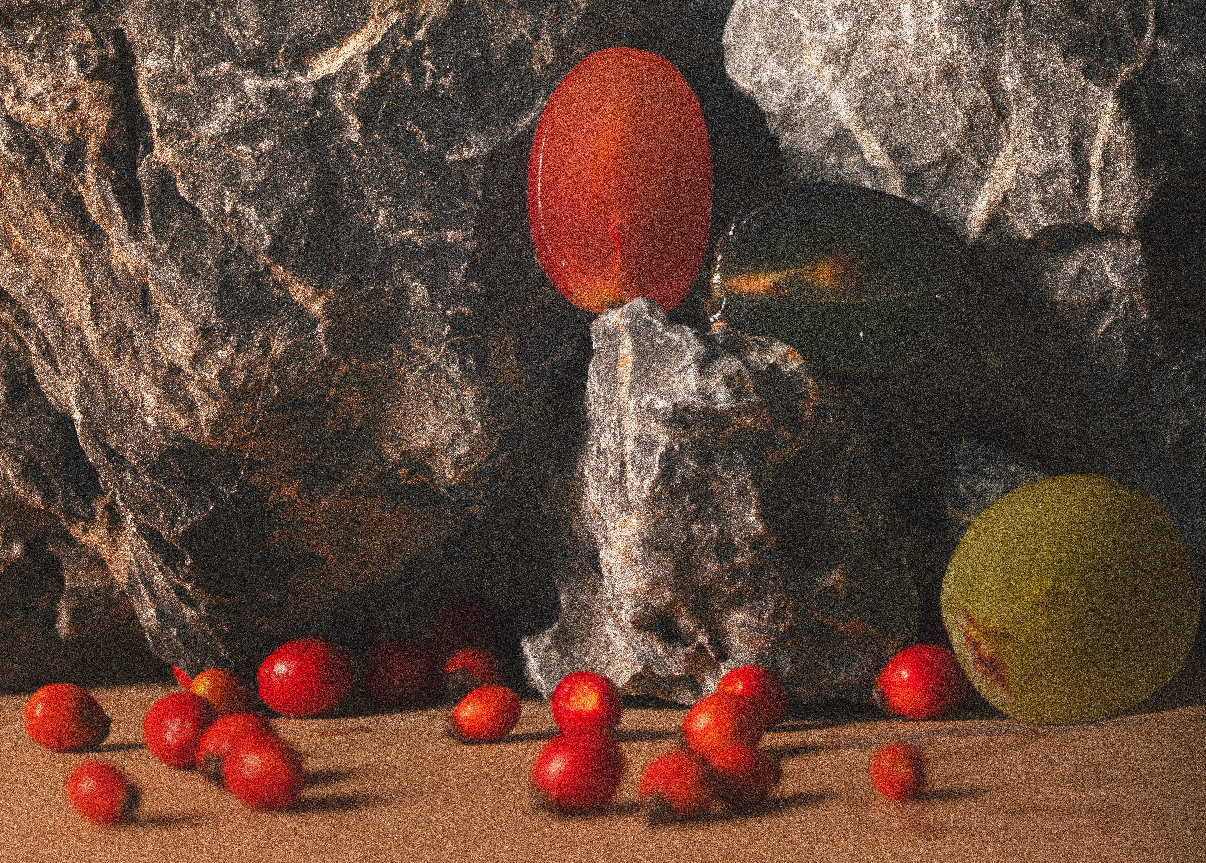 Rocks and fruit with rosehips in the foreground
