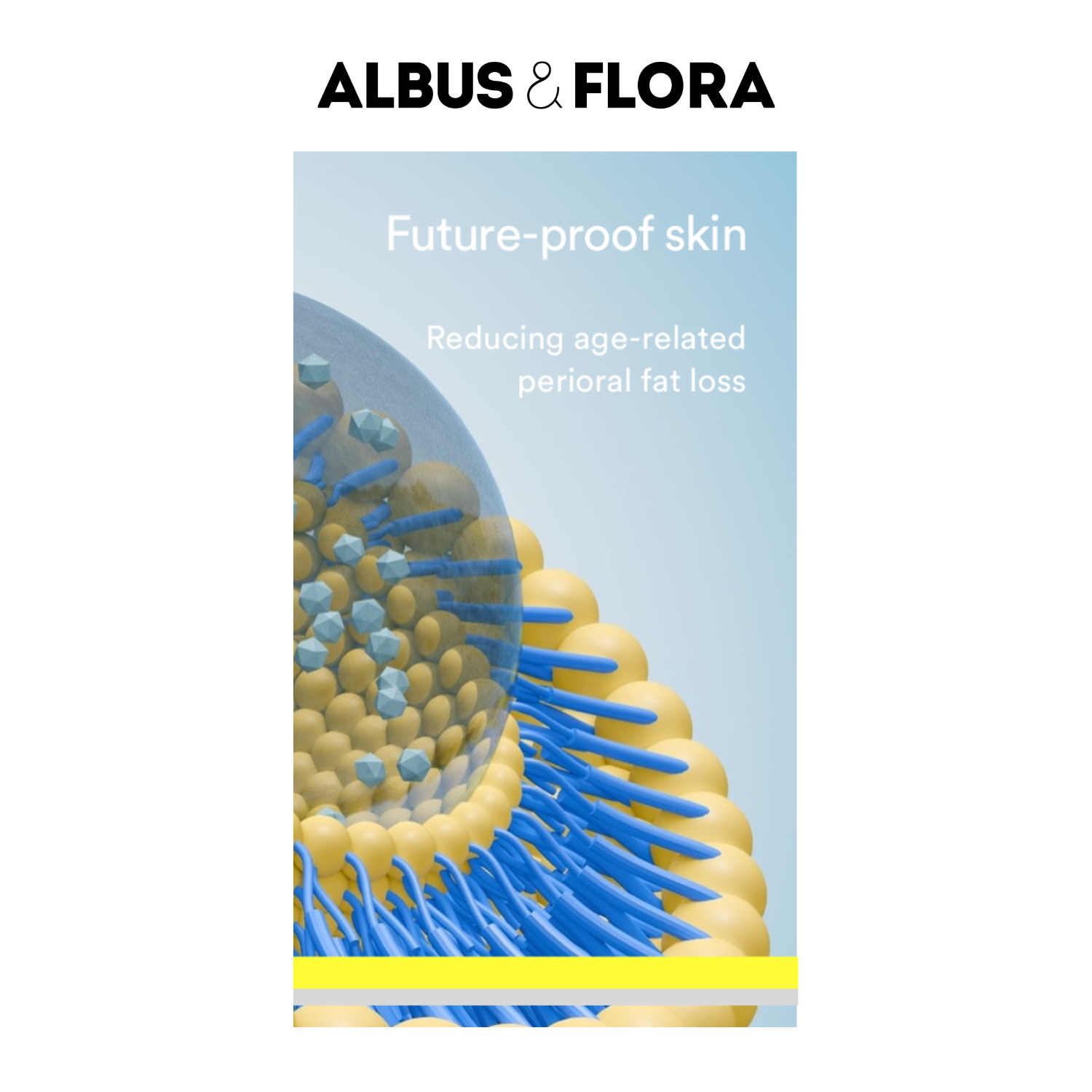 Albus and Flora Lip Facial Future Proof Skin
